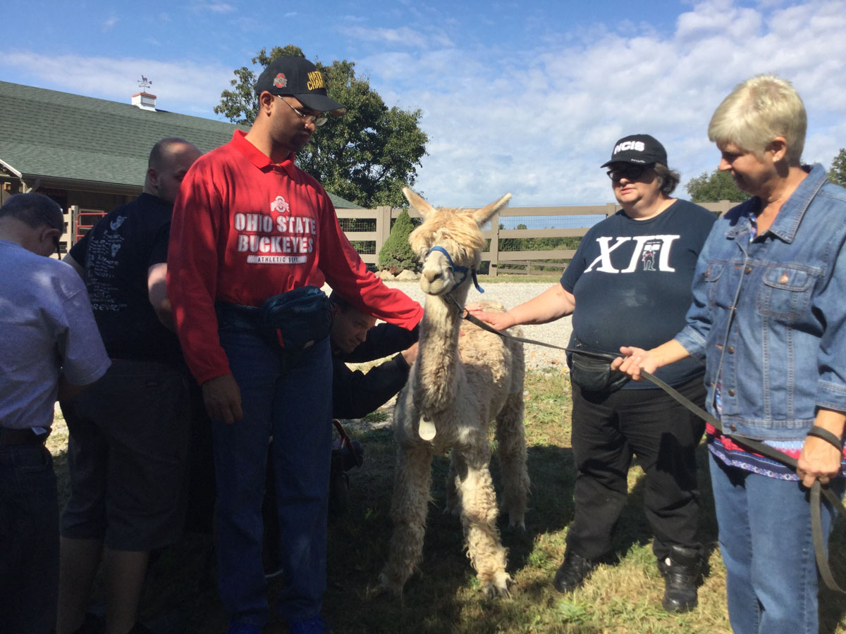 Alpacas Of Spring Acres Starlight Trip To The Farm 15.JPG